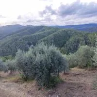 Umbria in Relax!, khách sạn ở San Venanzo