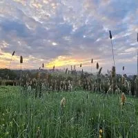 Welsh hilltop escape Llandeilo-Glamping and holiday let, khách sạn ở Llandeilo