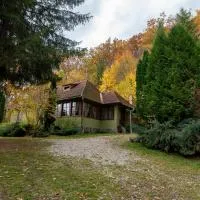 Filia में, होटल Esigman - log cabin in Transylvania