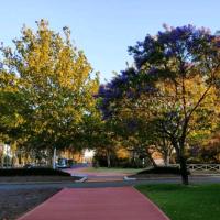 Celia's lovely house, hotel near Jandakot Airport - JAD, Perth