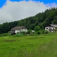 Kriegwald Apartements, hotel en Julbach