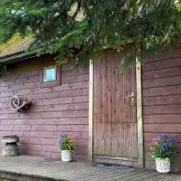 Ziedi, hotel sa Ieriķi