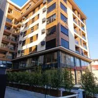 Apartman Rentals Lux KG 1, отель в Крагуеваце