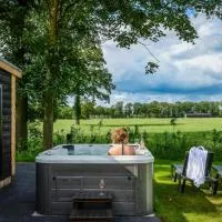 Panorama wellnesslodges x Vakantiepark Hölte, hotel din Rijssen