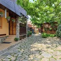 Pensiunea Sandra, hotel u gradu Sibiel