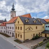 Penzion Mnich – hotel w mieście Nová Bystřice