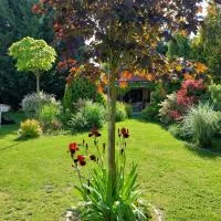 Cozy rooms in wine town - Modra, hotel din Modra