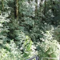 FeWo Harling - Waldsamkeit, hotel v mestu Bad Iburg