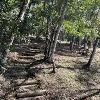 Vila Dravida Petar: Iporanga şehrinde bir otel