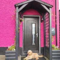 The little pink house, Hotel in Thurles