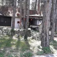 Apartman medju borovima, hotell i Vinci