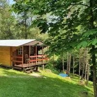 Domki letniskowe pod Brzozami Stella โรงแรมในโปลันชิกค์