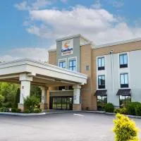 Comfort Suites-Youngstown North, hotel i Youngstown