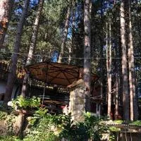 Apartman medju borovima 2, hotell i Vinci