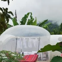Safari Bubbles, готель у місті Wundanyi