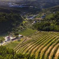 Quinta da Aldeia Nova, hotel en Arganil