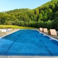 Pensiunea Poarta Raiului, hotell sihtkohas Cugir