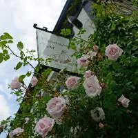 The Mulberry Inn, hotel v destinácii Llansantffraid Glyn Ceiriog
