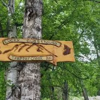 Lucky Guesthouse, hotel u gradu Trapper Creek