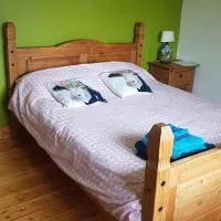 Room in a private house in the middle of countryside first store or bar within 10 min drive cats in the property, hotel em Athnaleenta