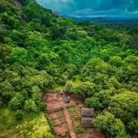 The Forest Edge Resort, hotel v Dambulle