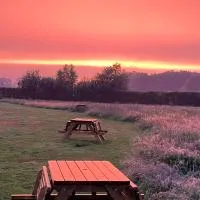 Erve Zonnehoeve Minicamping en Wijngaard, hotel di Vorden