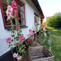 Fridfullt sommarhus mitt på Österlen nära Simrishamn, Tomelilla och Ystad, hotel em Gärsnäs