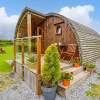 Oak View, hotel en Llangadog