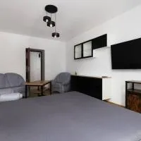 Przyjazny Apartament w Będzinie – hotel w mieście Będzin