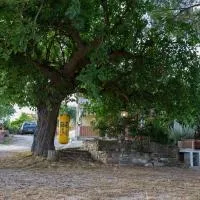 Casa Vacanze Diamante, hótel í Ogliastro Cilento