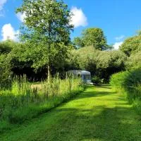 Budget stay, in lovely private setting with rustic charm, log burner, fire pit, campers kitchen & Eco Loo NO BEDDING SUPPLIED, hotel in Narberth