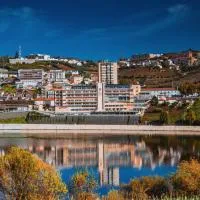 Hotel Regua Douro, Hotel in Peso da Régua