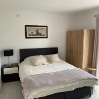 Apartments and Rooms Radivojević Niš, hotell i Niš