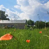 Hytte - Relais randonneur - capacité MAX de 9 personnes, hotell sihtkohas Nadrin