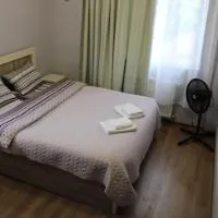 Guesthouse Evergreen, hotel v mestu Oni