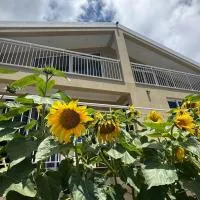 Casa Malee โรงแรมในกัลเลตา
