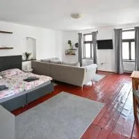 Apartmán U Špinarů, hotel v destinácii Třešť
