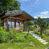 Berghütte am Grandsberg, hotel u gradu 'Schwarzach'