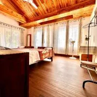 Dale Villa, hotel en Borpāni