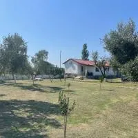 Diarla's Home 1, hotel in Fier