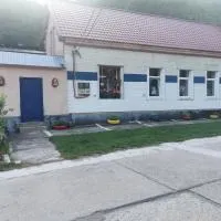 Pensiunea Casa Montana, hotel sa Sasca Montană