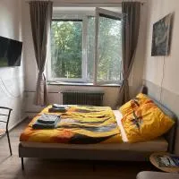 Apartmán Sedmička, hotel v Benešove nad Černou