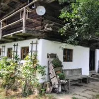 Troidkasten am Grandsberg, hotel u gradu 'Schwarzach'