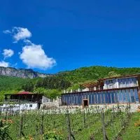 Korenishuli Veranda Wine Hotel 45 km from Tsageri, hotel em Tsʼageri