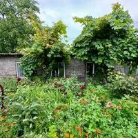 Old Farm, hotel en Ijevan