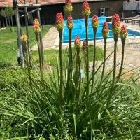 Chez le Colonel Pool House, готель у місті Dobromirka