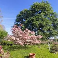 B&B Il Melograno, Hotel in Lomazzo