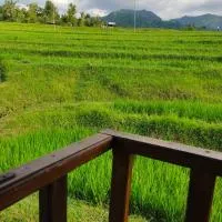 Pondok Pengaringan Loon, hotel u gradu Gitgit