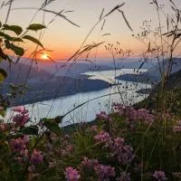 The Mountain Nest, hotel u gradu La Pirraz