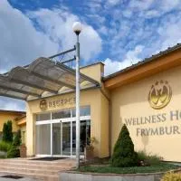 Hotel Frymburk, hotel a Frymburk